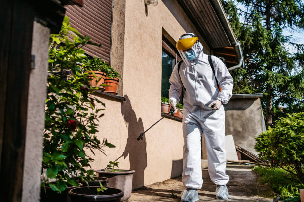 Best Best Pest Control Companies  in Attica, MI