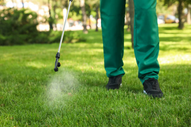 Best Pest Prevention Services  in Attica, MI