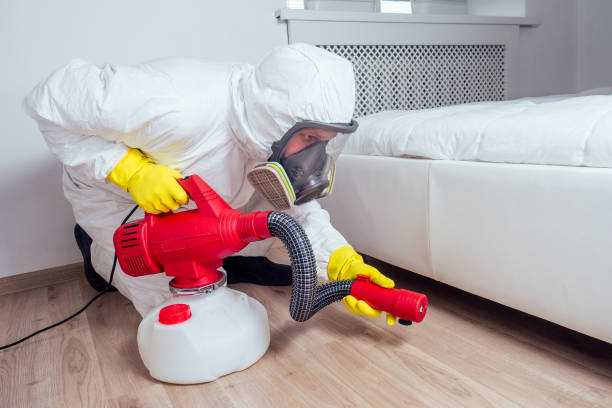 Best Ant Control Services  in Attica, MI
