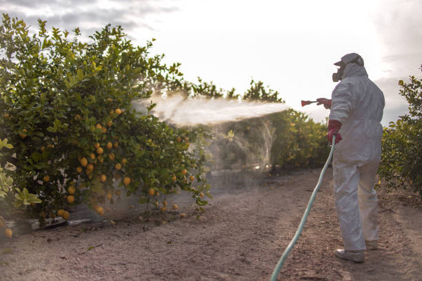 Best Insect Control  in Attica, MI