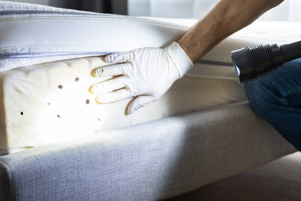 Best Affordable Pest Control Services  in Attica, MI