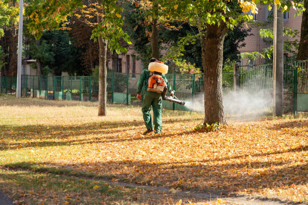 Best Rat Extermination Near Me  in Attica, MI