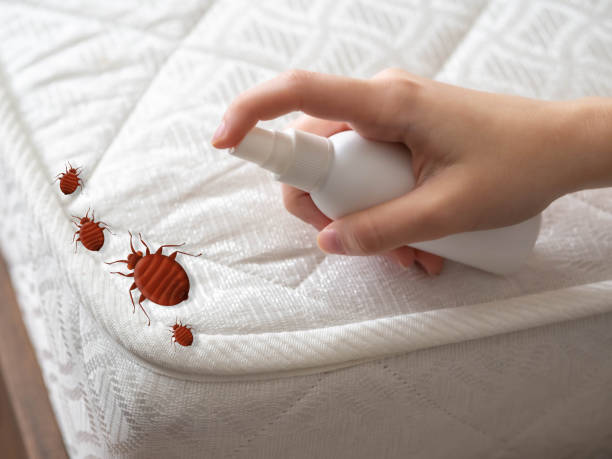Best Spider Control Near Me  in Attica, MI