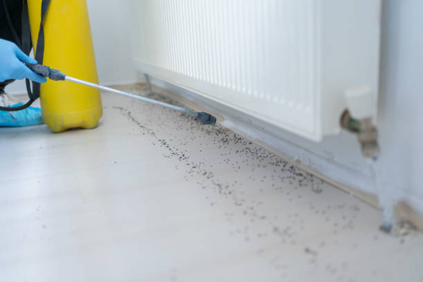 Best Mosquito Control Services  in Attica, MI